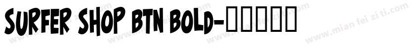 Surfer Shop BTN Bold字体转换